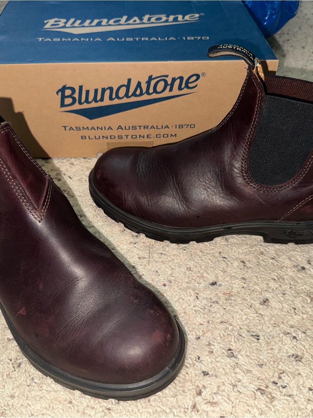 Blundstone Chukka Boots in Auburn/Redwood